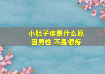 小肚子疼是什么原因男性 不是很疼